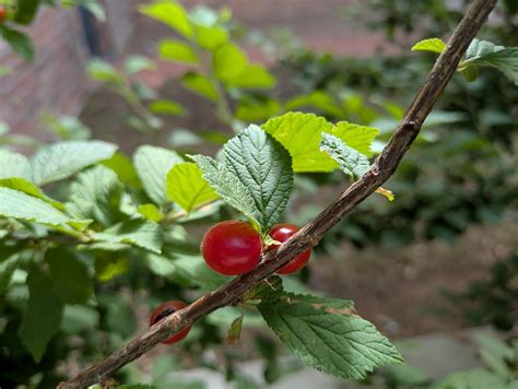 Winning numbers drawn in Thursday’s Maryland Multi-Match