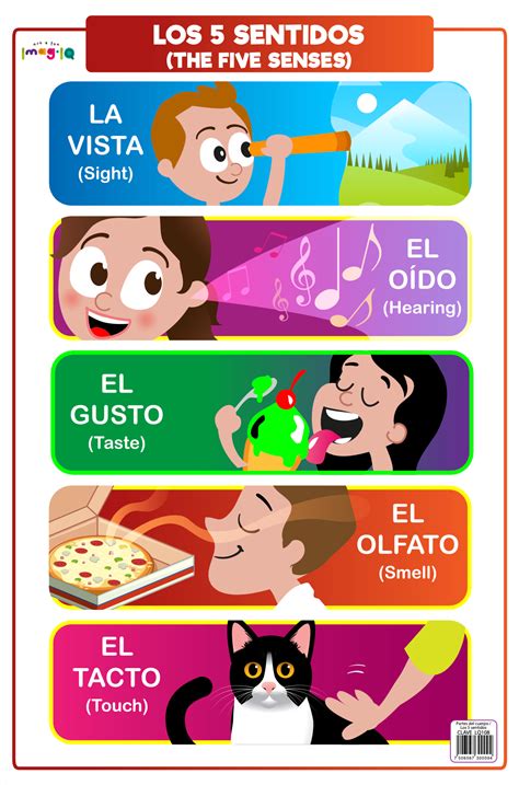 Dibujos De Los 5 Sentidos Para Imprimir - Dibujos para Imprimir y Colorear
