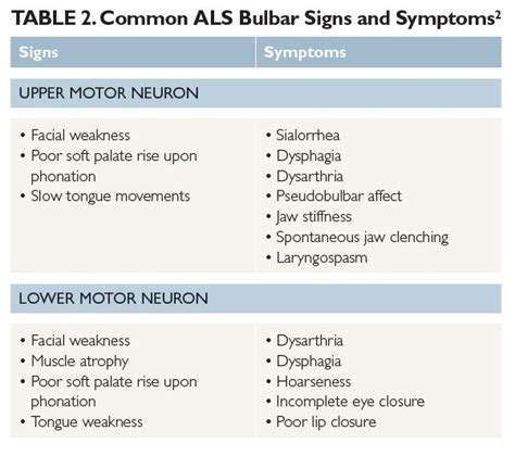 Image result for Upper Motor Neuron Function