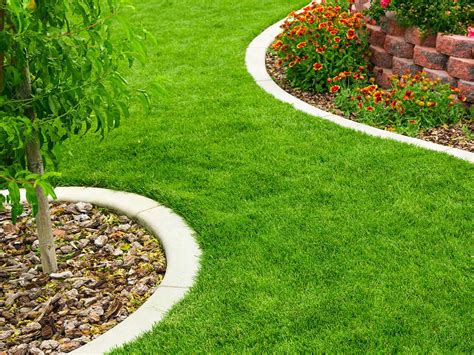 The complete guide to lawn edging | Love The Garden