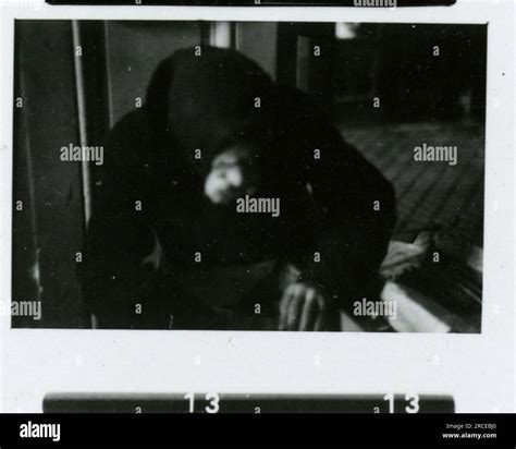 SS Photographer Eines Norwegian SS 1943 Field training, enlistment ...