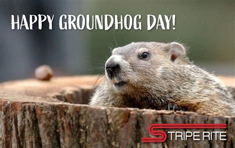 HAPPY GROUNDHOG DAY! - Stripe Rite, Inc.