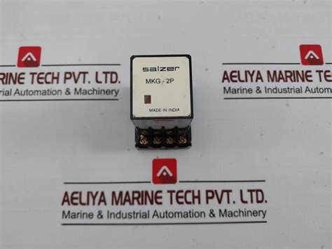 Salzer Mkg 2P 24 Miniature Relay With Base Pf083A 24 Vdc – Aeliya ...