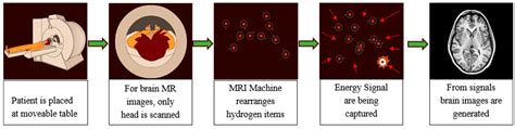 DeepTumor: Framework for Brain MR Image Classification, Segmentation ...