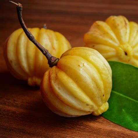 Malabar Tamarind Fruit Plants (Garcinia Gummi Gutta) – veliyathgardens