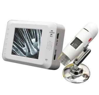 Vector Model Xfp36 Microscope Video 的图像结果