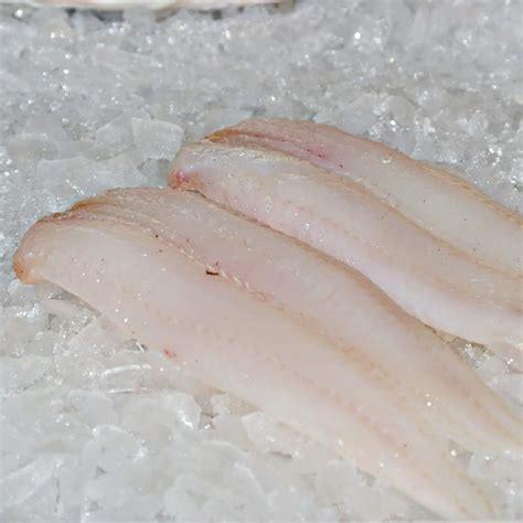 Image result for Haddock Fish Fillets