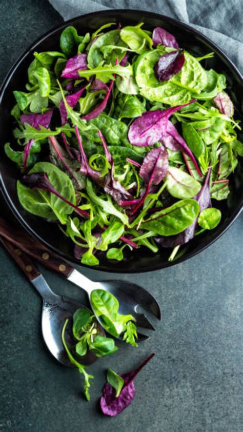 'Jis tarah se manage kiya, woh bahut achcha tha': BCCI thanks Indian ...