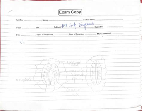 Image result for Chart Science for 10 Class