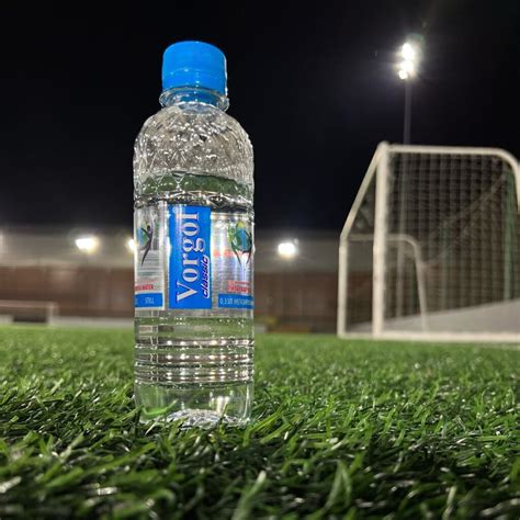 Вода 0,33 купить оптом в Москве | Vorgol