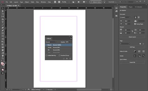 Image result for InDesign Effects