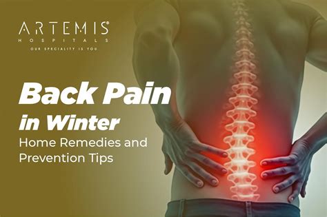 Normal Heart Rate: Pulse, Ranges & Warning Signs | Artemis Hospitals
