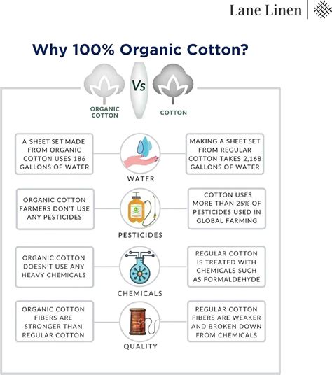 Buy 100% Organic Cotton Mineral Twin-Sheets Set, 3-Piece Pure Organic ...