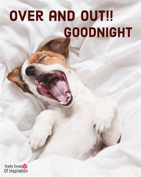 Yawwwn.... Goodnight everyone. Sleep well and have sweet dreams. 🥰💜🙏🙏💜😊 ...