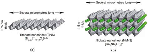 Applications of Nanosheets in Frontier Cellular Research