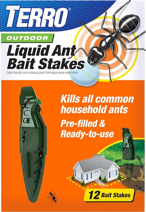 Amazon.com : TERRO Liquid Ant Baits - T1813B - Outdoor Ready-to-Use ...