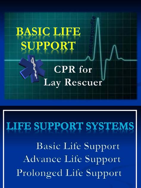 CPR Basic Life Support 的图像结果