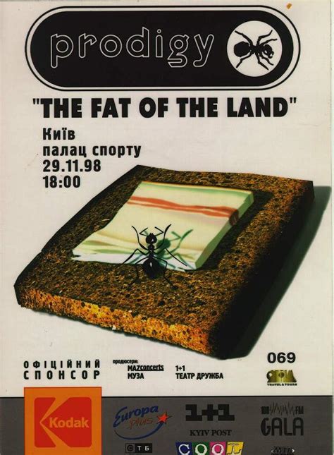 Image result for Flyger Prodigy