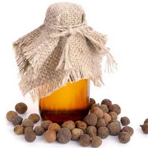 Allspice - Pure Allspice Essential Oil Manufacturer from Ghaziabad