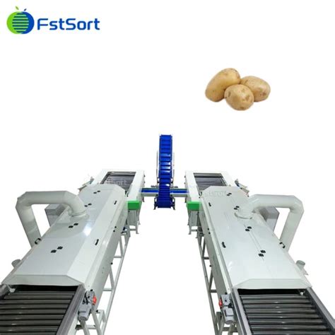 Image result for Small Potato Sorting Machine