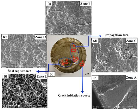 Analysis of Regulating Valve Stem Fracture in a Petrochemical Plant