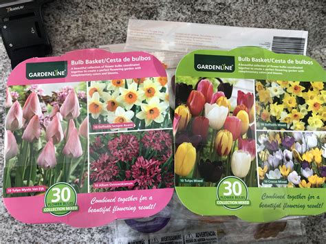 Does Aldi Have Flowers