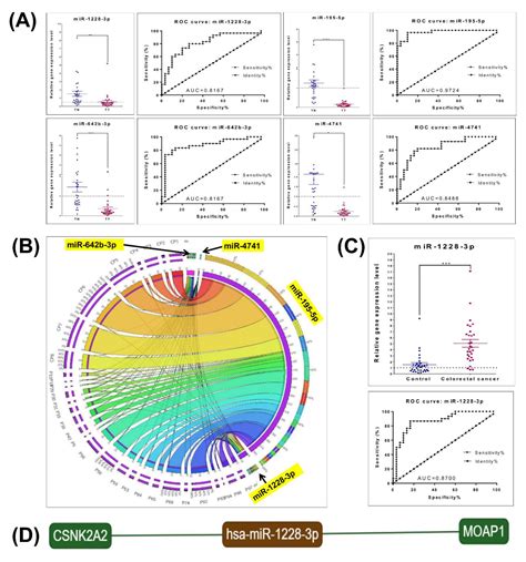 Plasma and Tissue Specific miRNA Expression Pattern and Functional ...
