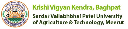 Krishi Vigyan Kendra Baghpat