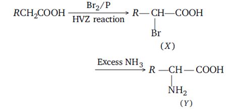 In the following reaction RCH2COOH ->[Br2/p] X ->[excess NH3] Y The ...