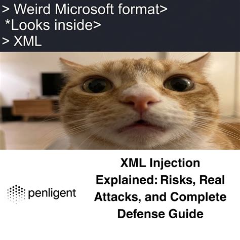 Image result for XML Injection Tutorial