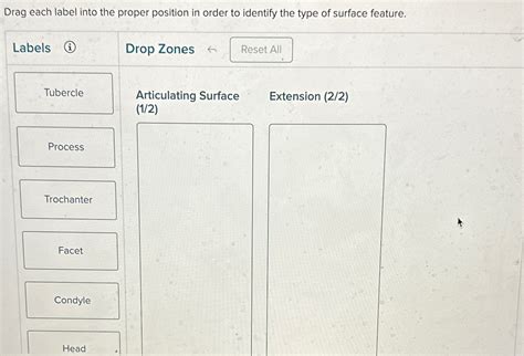 Solved Drag each label into the proper position in order to | Chegg.com