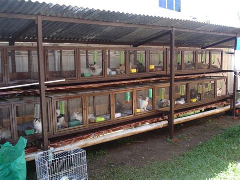 DSC04246.JPG 1,600×1,200 pixels | Rabbit cages outdoor, Rabbit cage ...