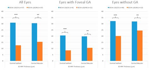 Ellipsoid Zone Integrity and Visual Function in Dry Age-Related Macular ...