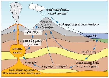 பாறைகள் (Rocks) : பாறைகளின் வகைகள் | Rocks : Types and Cycle | in Tamil