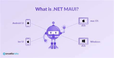 Image result for NET Maui Basics
