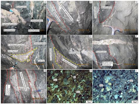 Implications for Metallogenesis and Tectonic Evolution of Ore-Hosting ...