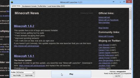 Java Minecraft Fehler 的图像结果