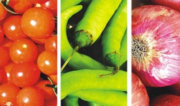 Indore Bio Agri Indputs & Research Pvt Ltd