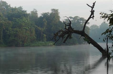 Dharmasthala Images - Vacation Pictures of Dharmasthala, Dakshina ...