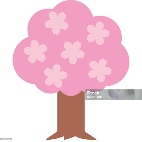 Simple Cherry Blossom Tree In Full Bloom With Six Cherry Blossom ...