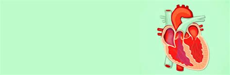 What is Valvular Heart Disease? | Dr. Smita Mishra