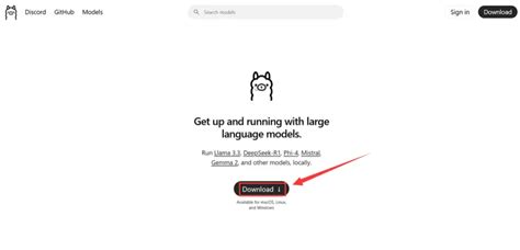 Image result for How to Get Code Deepseek
