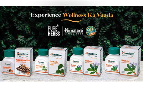 Buy Himalaya Wellness Pure Herbs Brahmi Mind Wellness - 60 Tablet ...