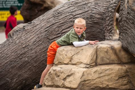 Rockford-Lake Rebecca Park Reserve