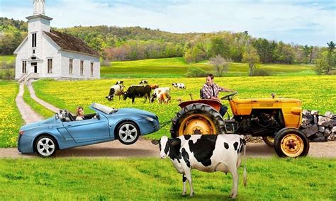 Image result for Finding Normal Full Movie