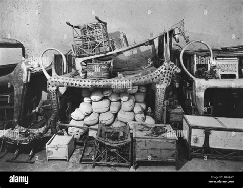 Howard Carter King Tut Tomb 的图像结果