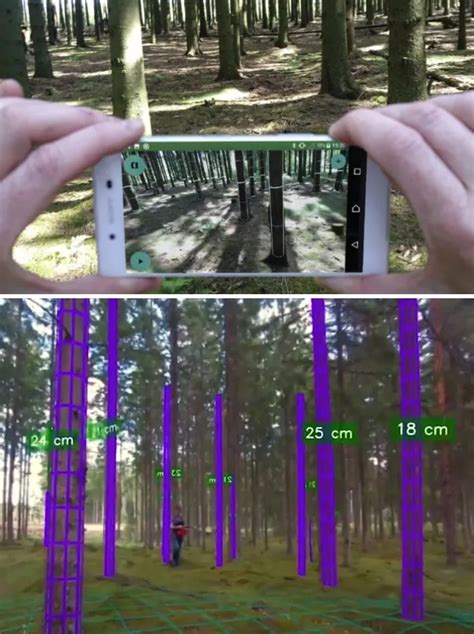 Image result for Forest and Trees Cyber Security Software