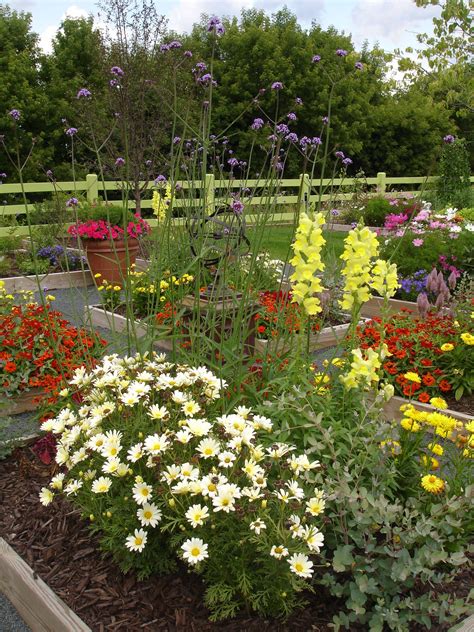 Cutting Flower Garden Ideas at Nick Mendoza blog