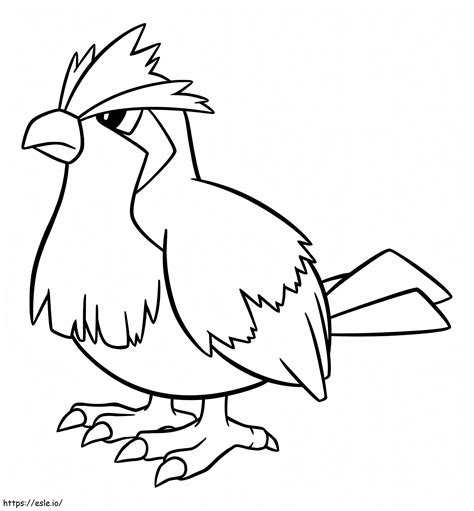 Image result for Pidgeotto Color Pages