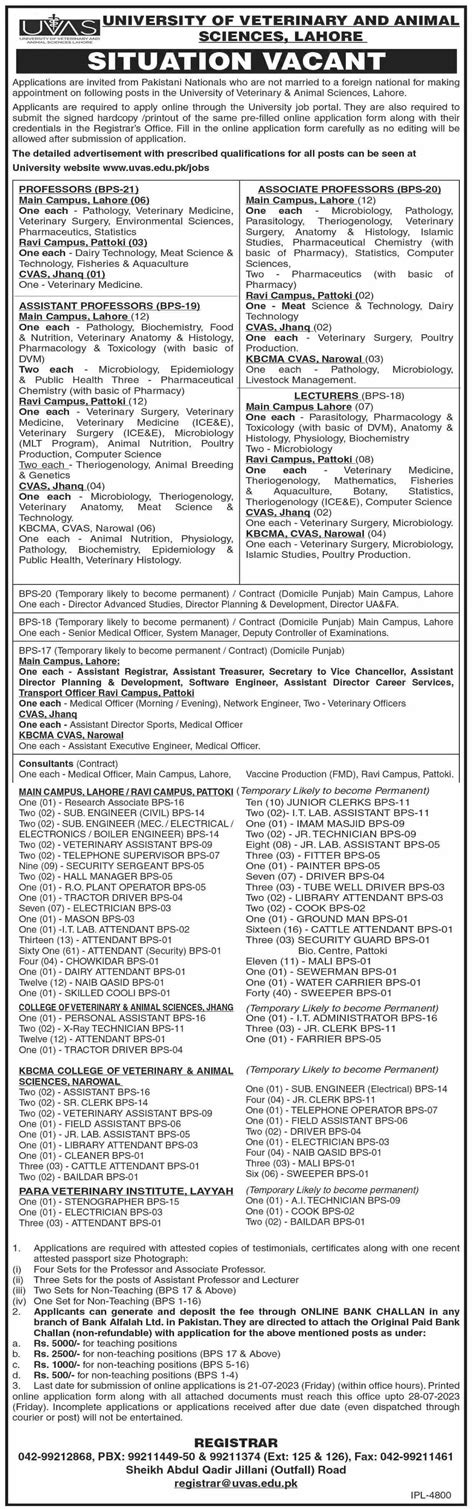 University Of Veterinary And Animal Sciences Jobs 2023